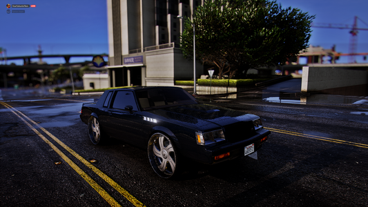 87 Grand National GNX